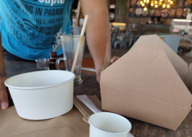Mystery shopper observes environmental and human health risks of single-use plastic alternatives